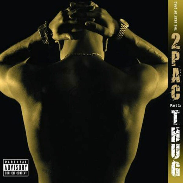 2PAC – Thug (the best of 2PAC)